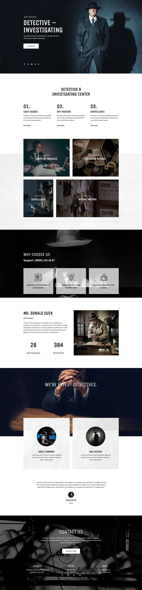 Detective-1-D0382